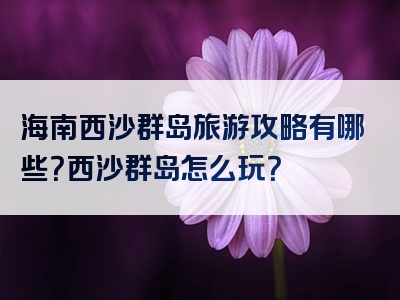 海南西沙群岛旅游攻略有哪些？西沙群岛怎么玩？