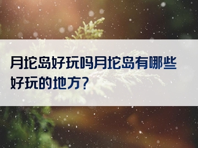 月坨岛好玩吗月坨岛有哪些好玩的地方？