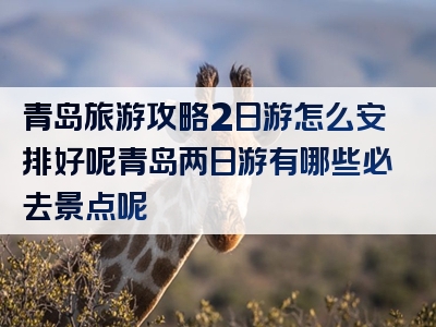 青岛旅游攻略2日游怎么安排好呢青岛两日游有哪些必去景点呢