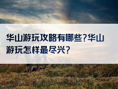华山游玩攻略有哪些？华山游玩怎样最尽兴？