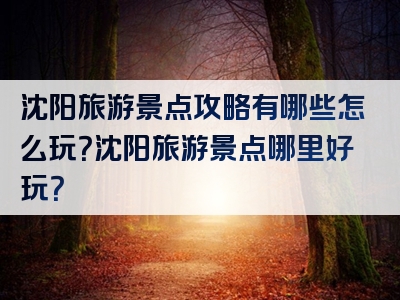 沈阳旅游景点攻略有哪些怎么玩？沈阳旅游景点哪里好玩？