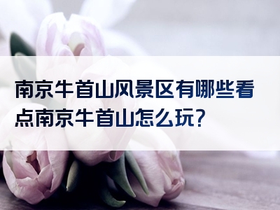 南京牛首山风景区有哪些看点南京牛首山怎么玩？