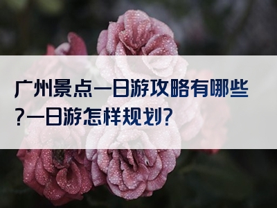 广州景点一日游攻略有哪些？一日游怎样规划？