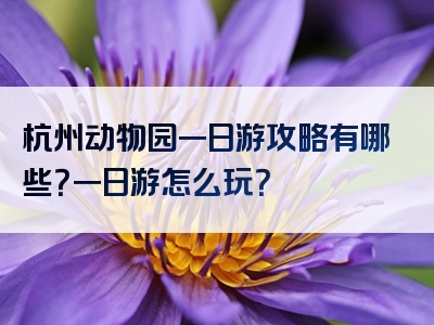 杭州动物园一日游攻略有哪些？一日游怎么玩？