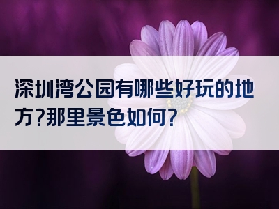 深圳湾公园有哪些好玩的地方？那里景色如何？