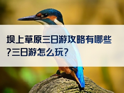 坝上草原三日游攻略有哪些？三日游怎么玩？