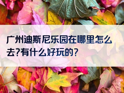 广州迪斯尼乐园在哪里怎么去？有什么好玩的？