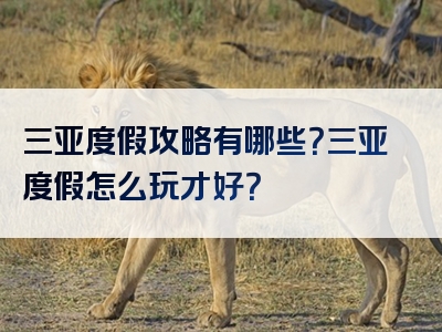 三亚度假攻略有哪些？三亚度假怎么玩才好？