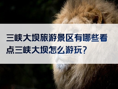 三峡大坝旅游景区有哪些看点三峡大坝怎么游玩？