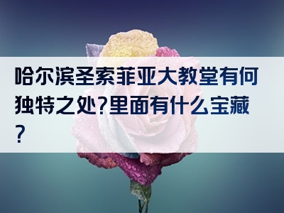 哈尔滨圣索菲亚大教堂有何独特之处？里面有什么宝藏？