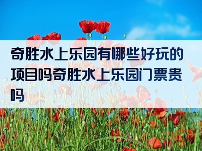 奇胜水上乐园有哪些好玩的项目吗奇胜水上乐园门票贵吗