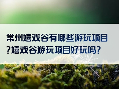 常州嬉戏谷有哪些游玩项目？嬉戏谷游玩项目好玩吗？