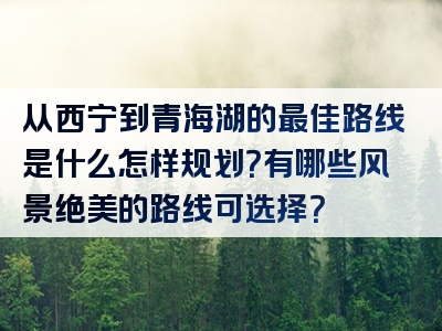 从西宁到青海湖的最佳路线是什么怎样规划？有哪些风景绝美的路线可选择？
