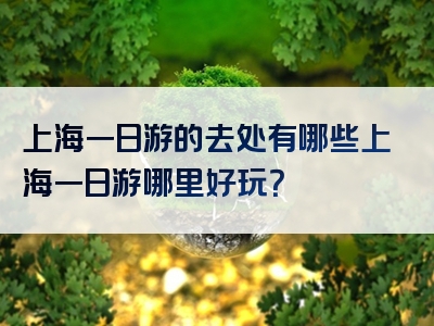 上海一日游的去处有哪些上海一日游哪里好玩？