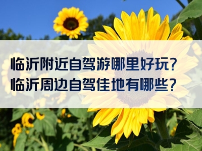 临沂附近自驾游哪里好玩？临沂周边自驾佳地有哪些？