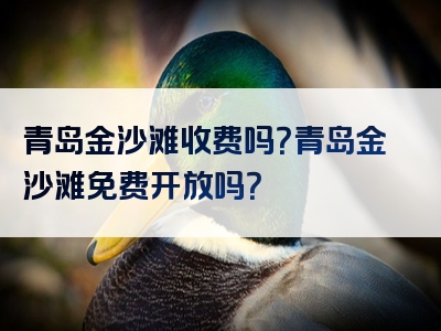 青岛金沙滩收费吗？青岛金沙滩免费开放吗？