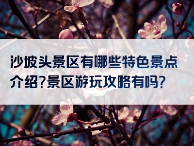 沙坡头景区有哪些特色景点介绍？景区游玩攻略有吗？