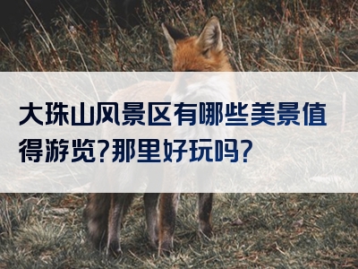大珠山风景区有哪些美景值得游览？那里好玩吗？
