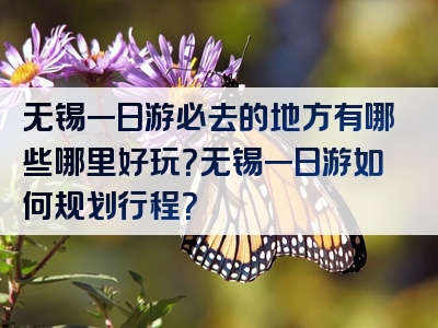 无锡一日游必去的地方有哪些哪里好玩？无锡一日游如何规划行程？