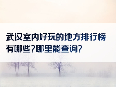 武汉室内好玩的地方排行榜有哪些？哪里能查询？