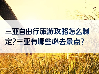 三亚自由行旅游攻略怎么制定？三亚有哪些必去景点？