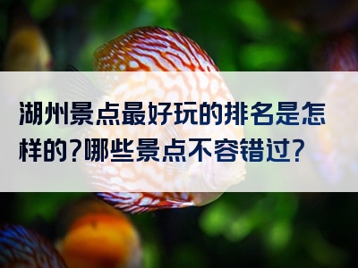 湖州景点最好玩的排名是怎样的？哪些景点不容错过？