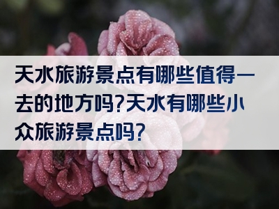 天水旅游景点有哪些值得一去的地方吗？天水有哪些小众旅游景点吗？