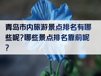 青岛市内旅游景点排名有哪些呢？哪些景点排名靠前呢？