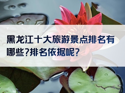 黑龙江十大旅游景点排名有哪些？排名依据呢？