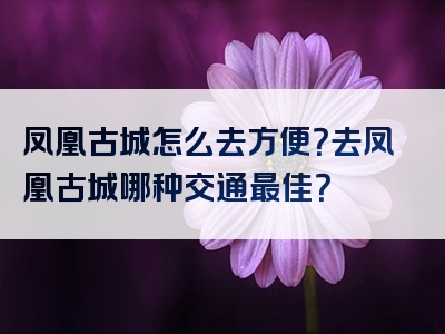 凤凰古城怎么去方便？去凤凰古城哪种交通最佳？