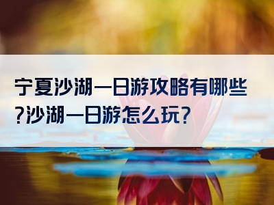 宁夏沙湖一日游攻略有哪些？沙湖一日游怎么玩？