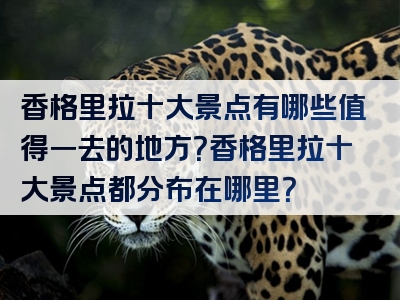 香格里拉十大景点有哪些值得一去的地方？香格里拉十大景点都分布在哪里？