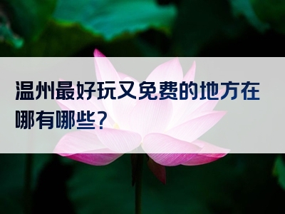 温州最好玩又免费的地方在哪有哪些？
