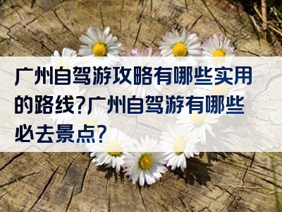 广州自驾游攻略有哪些实用的路线？广州自驾游有哪些必去景点？