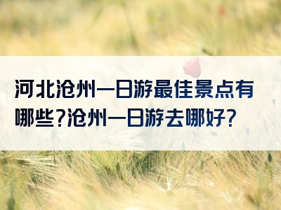 河北沧州一日游最佳景点有哪些？沧州一日游去哪好？