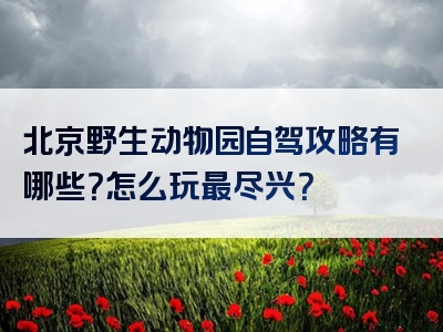 北京野生动物园自驾攻略有哪些？怎么玩最尽兴？