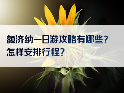 额济纳一日游攻略有哪些？怎样安排行程？