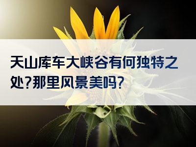 天山库车大峡谷有何独特之处？那里风景美吗？