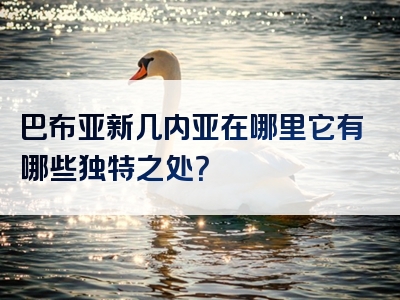 巴布亚新几内亚在哪里它有哪些独特之处？