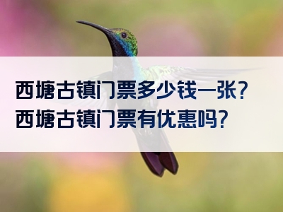 西塘古镇门票多少钱一张？西塘古镇门票有优惠吗？
