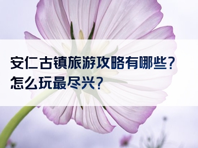 安仁古镇旅游攻略有哪些？怎么玩最尽兴？