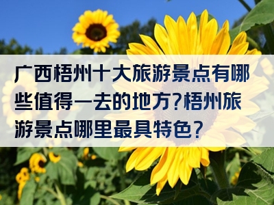 广西梧州十大旅游景点有哪些值得一去的地方？梧州旅游景点哪里最具特色？