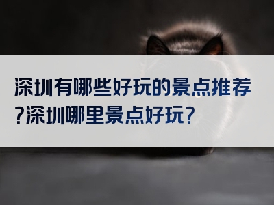 深圳有哪些好玩的景点推荐？深圳哪里景点好玩？