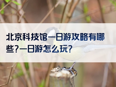 北京科技馆一日游攻略有哪些？一日游怎么玩？