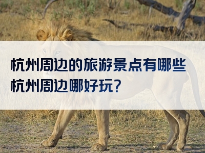 杭州周边的旅游景点有哪些杭州周边哪好玩？