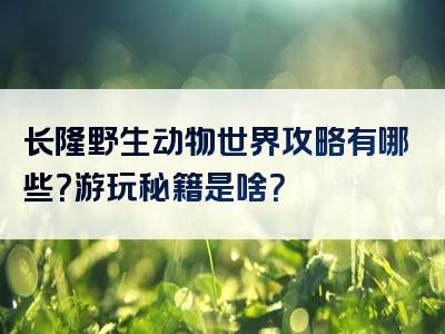 长隆野生动物世界攻略有哪些？游玩秘籍是啥？