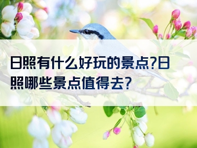 日照有什么好玩的景点？日照哪些景点值得去？