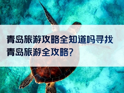 青岛旅游攻略全知道吗寻找青岛旅游全攻略？