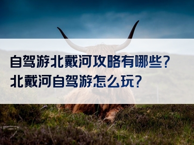 自驾游北戴河攻略有哪些？北戴河自驾游怎么玩？