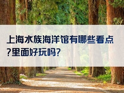 上海水族海洋馆有哪些看点？里面好玩吗？